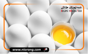 کاهش قیمت تخم مرغ پوسته سفید در بازار